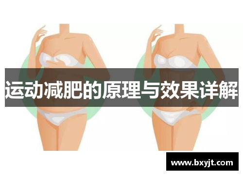 运动减肥的原理与效果详解