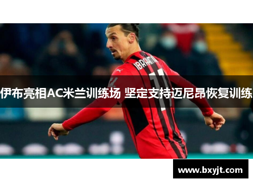 伊布亮相AC米兰训练场 坚定支持迈尼昂恢复训练