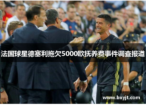法国球星德塞利拖欠5000欧抚养费事件调查报道